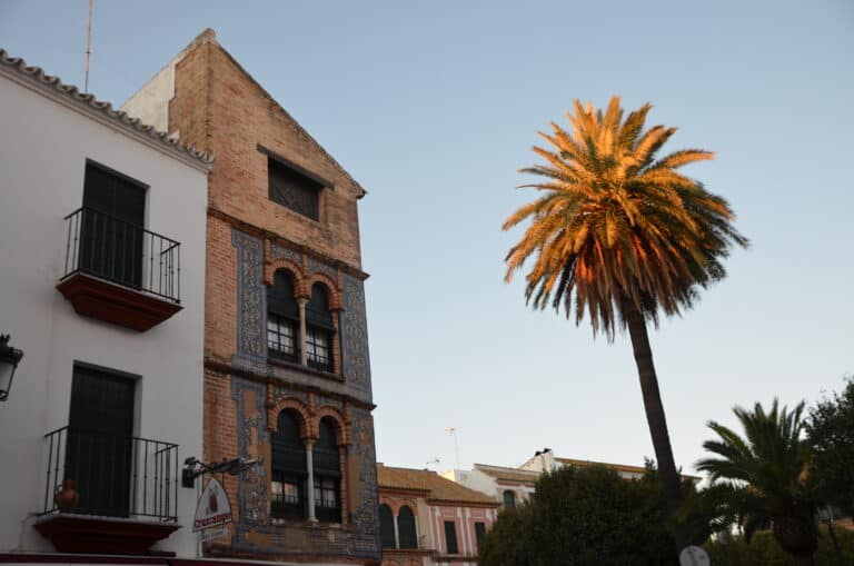Carmona 2021 (52) (Carmona) (Andalusia)