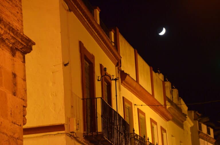 Carmona 2021 (56) (Carmona) (Andalucia)