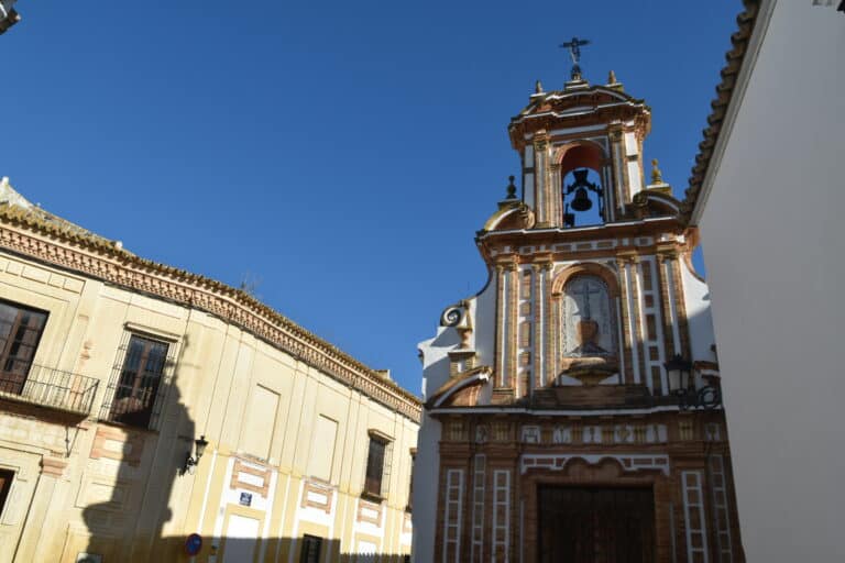 Carmona 2021 (68) (Carmona) (Andalusia)