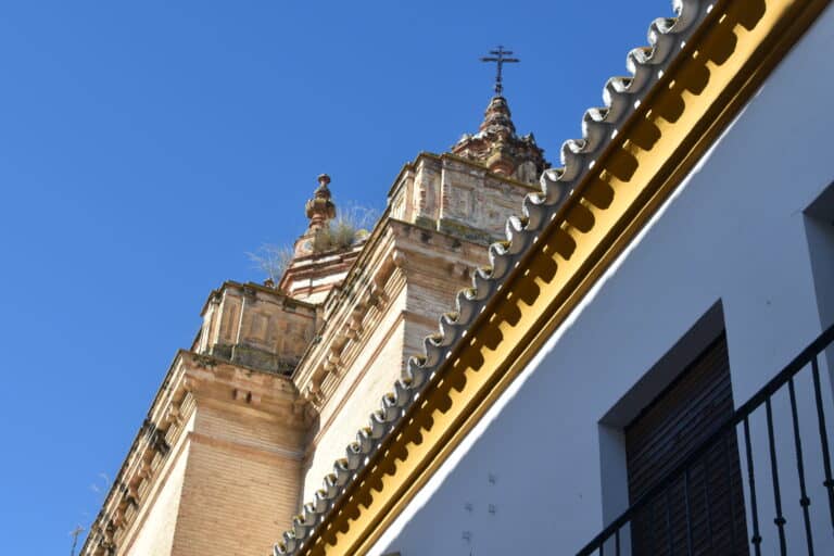 Carmona 2021 (70) (Carmona) (Andalusia)