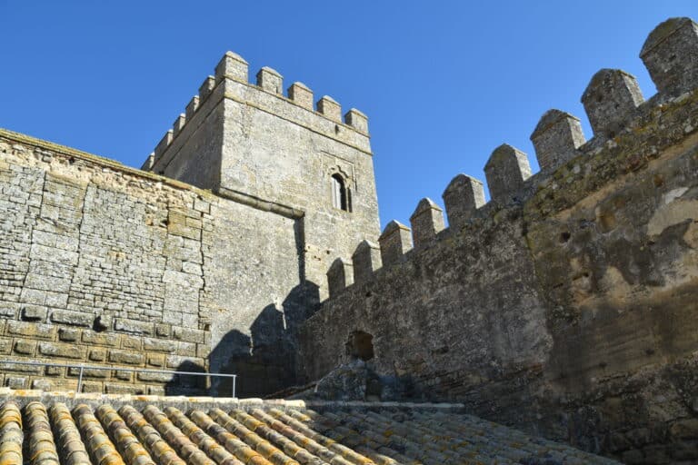 Carmona 2021 (71) (Carmona) (Andalusia)