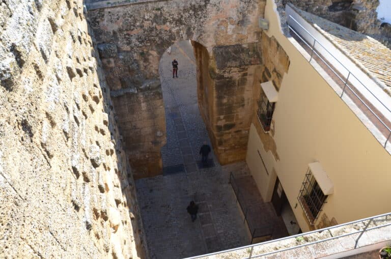 Carmona 2021 (74) (Carmona) (Andalusia)