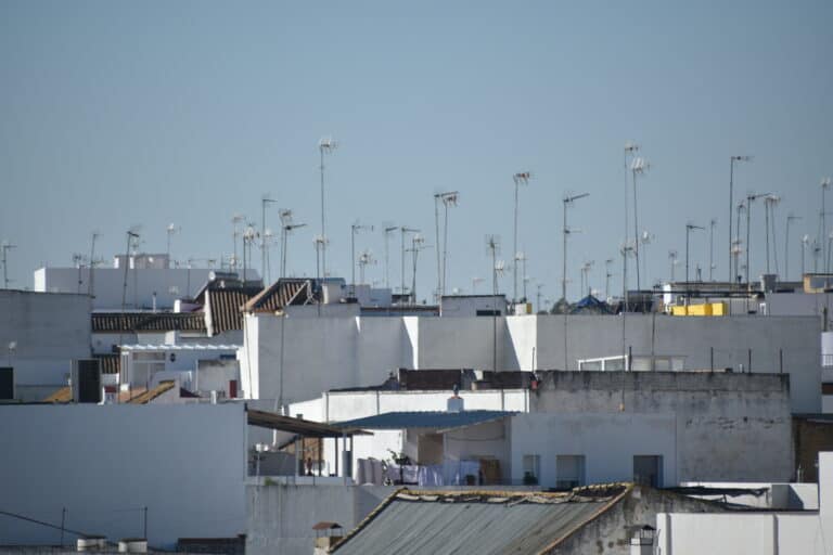 Carmona 2021 (75) (Carmona) (Andalusia)