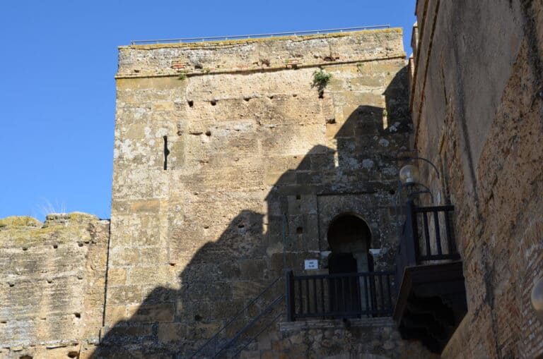 Carmona 2021 (76) (Carmona) (Andalusia)