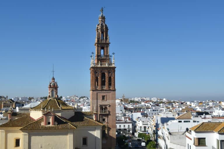 Carmona 2021 (77) (Carmona) (Andalusia)
