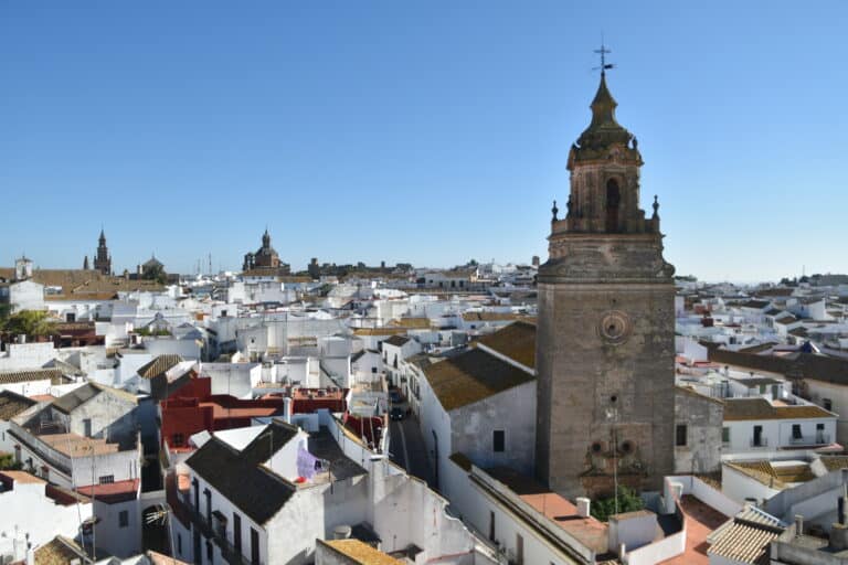 Carmona 2021 (78) (Carmona) (Andalusia)