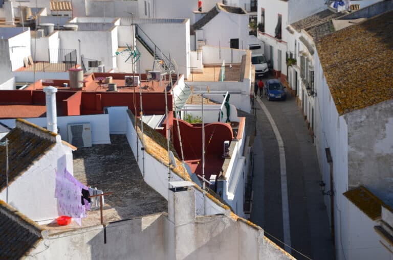 Carmona 2021 (79) (Carmona) (Andalusia)