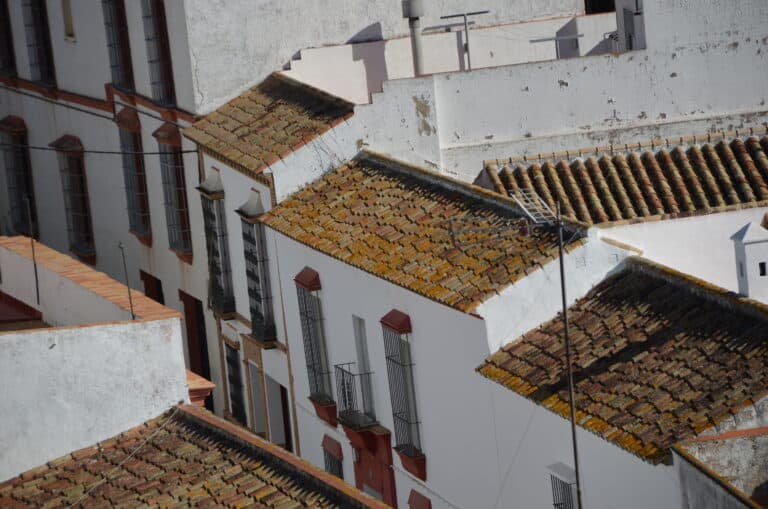 Carmona 2021 (82) (Carmona) (Andalucia)