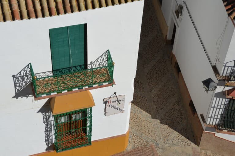 Carmona 2021 (84) (Carmona) (Andalucia)