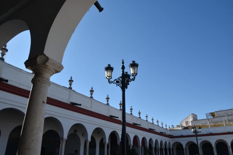 Carmona 2021 (88) (Carmona) (Andalucia)