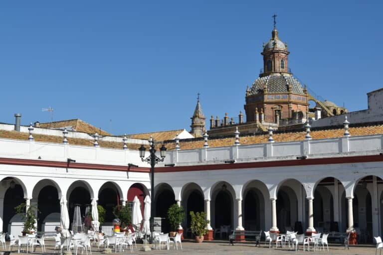 Carmona 2021 (89) (Carmona) (Andalucia)