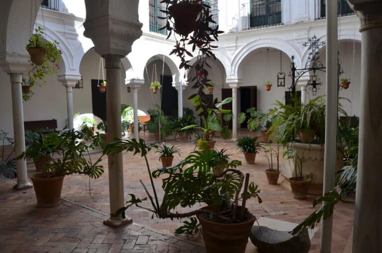 Carmona 2021 (97) (Carmona) (Andalucia)
