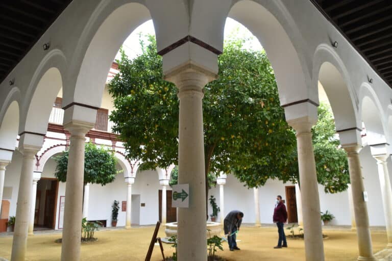 Ecija 2021 (12) (Écija) (Andalucía)