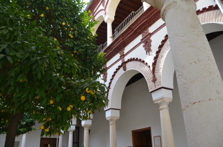 Ecija 2021 (14) (Écija) (Andalucía)