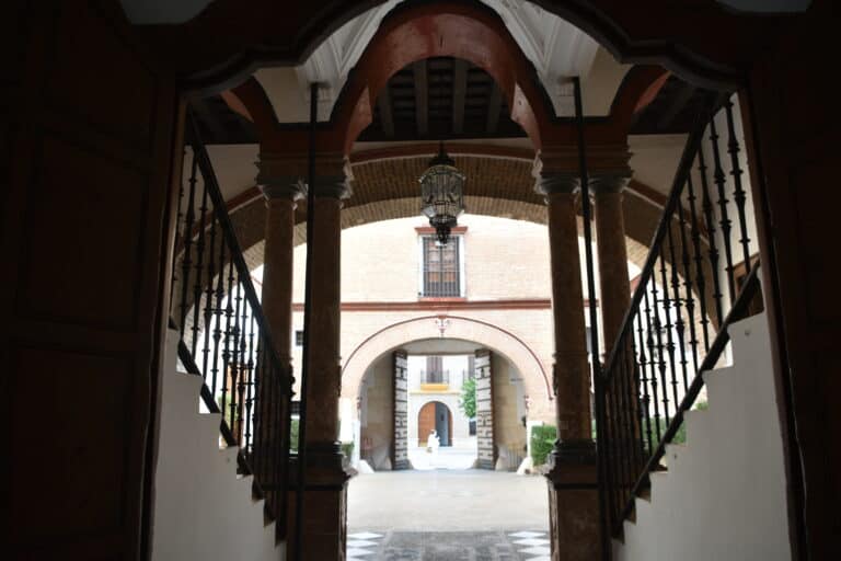 Ecija 2021 (15) (Écija) (Andalucía)