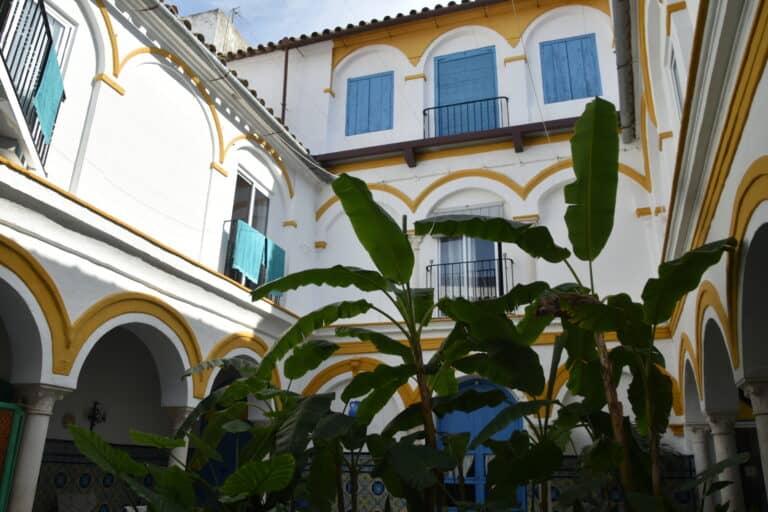 Ecija 2021 (2) (Écija) (Andalucía)