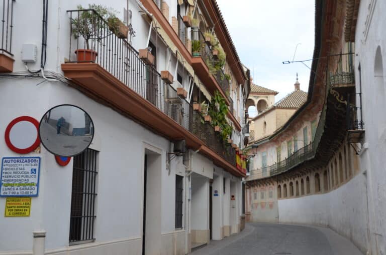 Ecija 2021 (25) (Écija) (Andalucía)