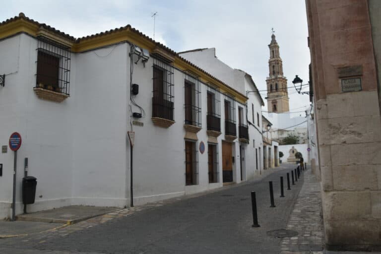 Ecija 2021 (29) (Écija) (Andalucía)