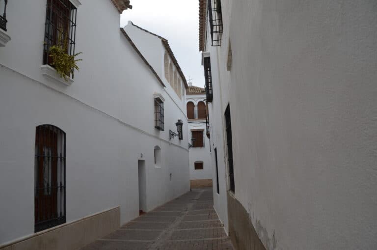 Ecija 2021 (31) (Écija) (Andalucía)
