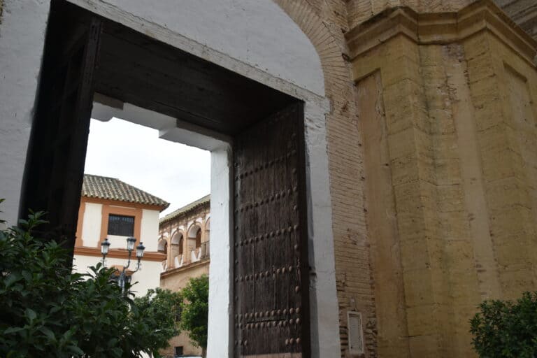 Ecija 2021 (37) (Écija) (Andalucía)