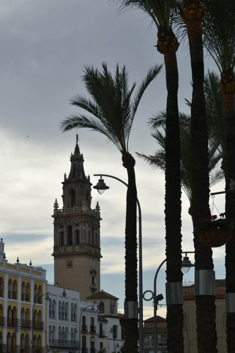 Ecija 2021 (46) (Écija) (Andalucía)