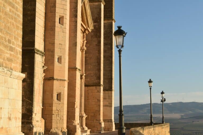 Osuna 2021 (58) (Osuna) (Andalusia)