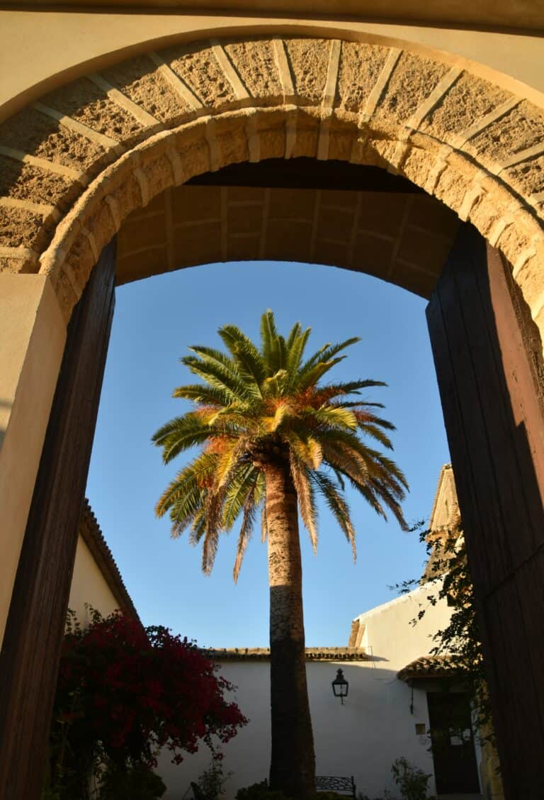 Osuna 2021 (65) (Osuna) (Andalusia)