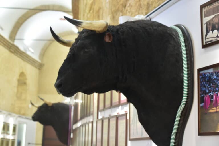Osuna 2021 (81) (Osuna) (Andalucía)