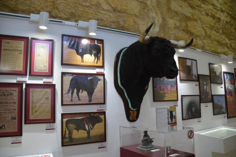 Osuna 2021 (83) (Osuna) (Andalucía)