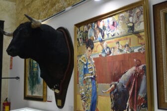 bull's head in the museum of bullring in Osuna