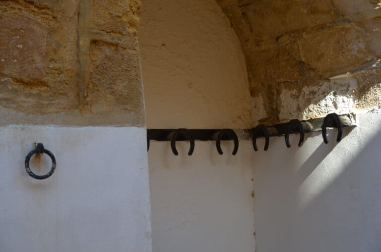 Osuna 2021 (95) (Osuna) (Andalusia)