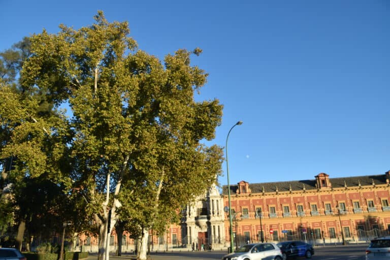 Sevilla 2021 (59)