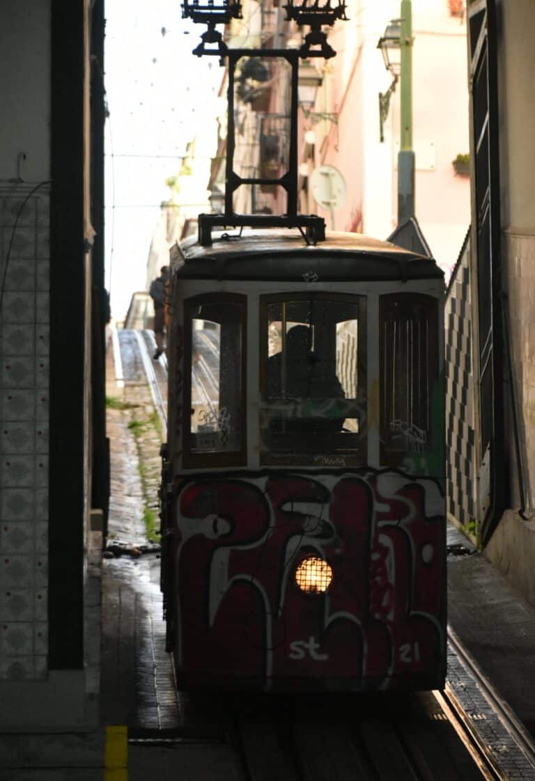 Lisbon 2021 (69)