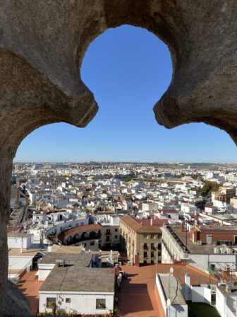 view from the cathedral in Seville