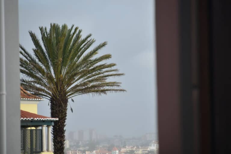 Cascais (18)