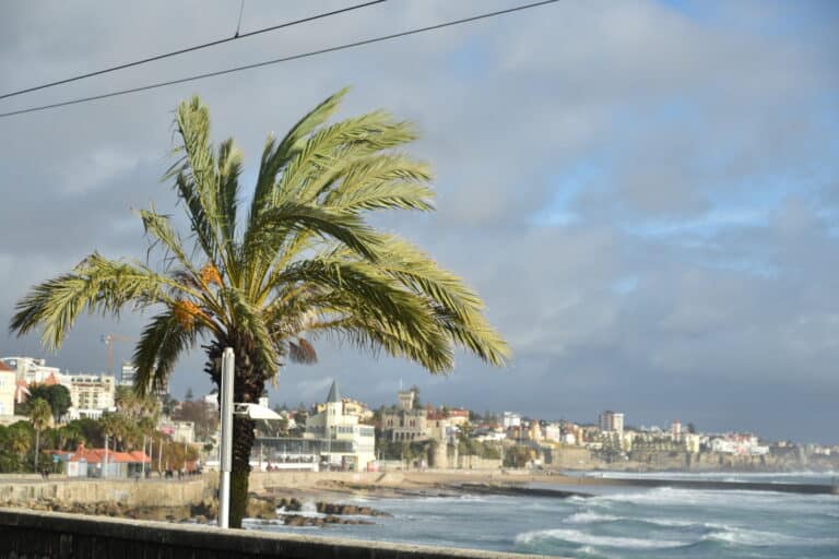 Cascais (25)