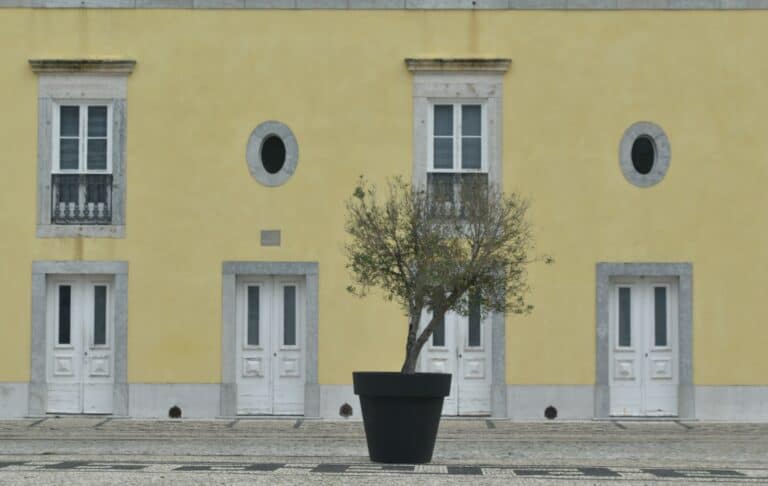 Cascais (29)