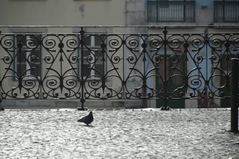 Lisbon 2021 (218)