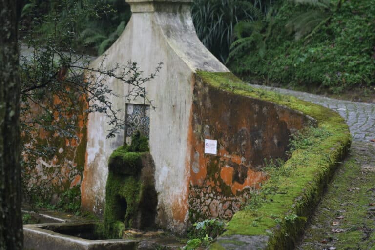 Sintra 2021 (21)