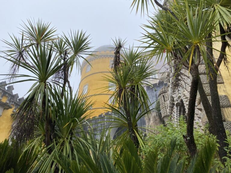Sintra 2021 (3)