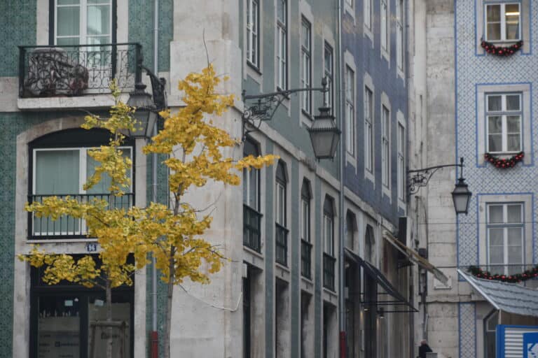 Lisbon 2021 (231)