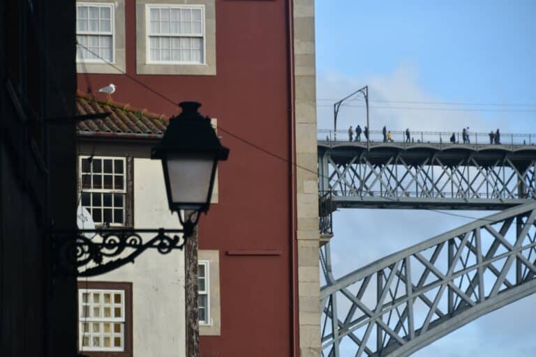 Porto 2021 (18) (Oporto)