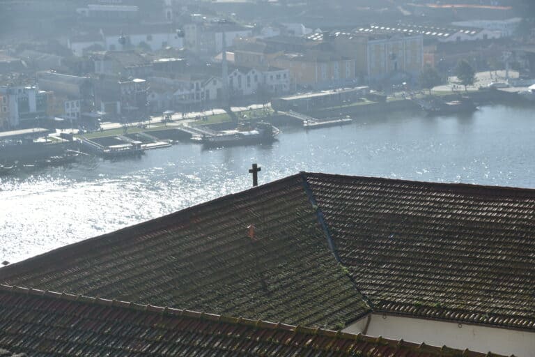 Porto 2021 (65) (Porto)
