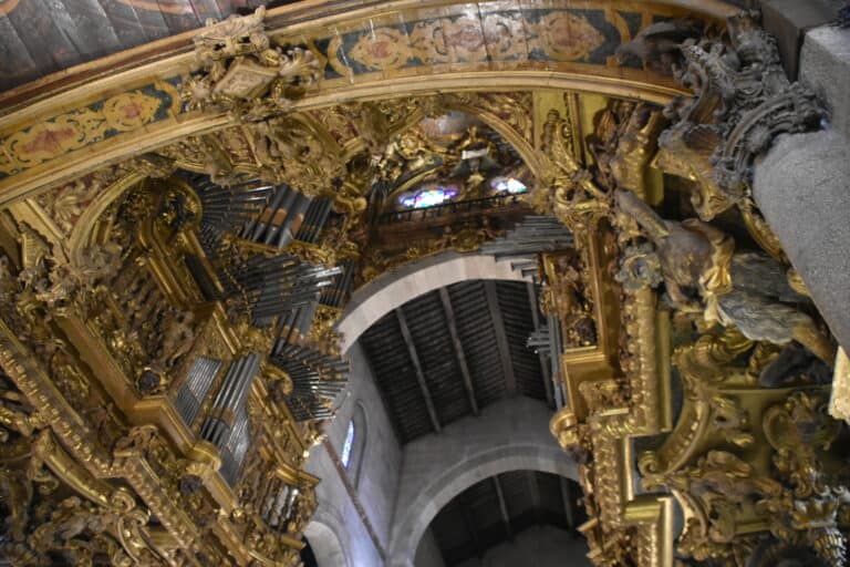 Braga (49)