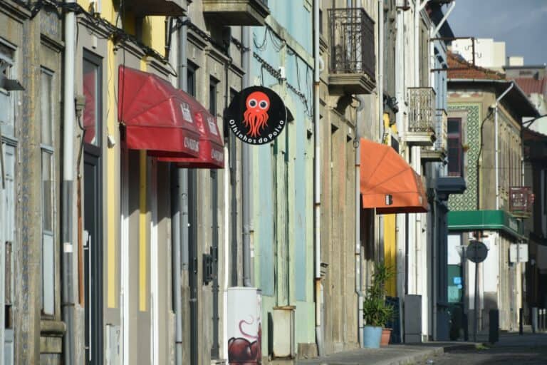 Matosinhos (15)