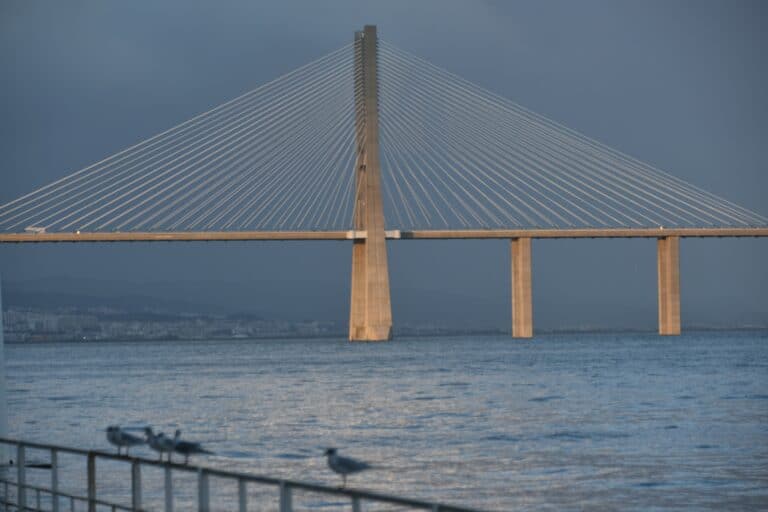 Lisbon 2022 (11)