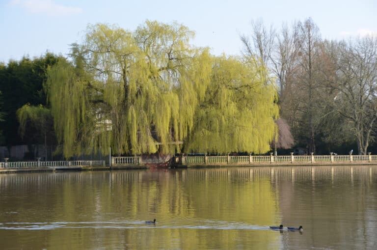 Marlow 2022 (15)