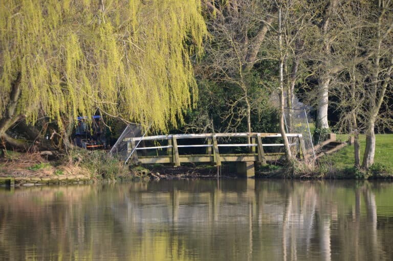 Marlow 2022 (21)