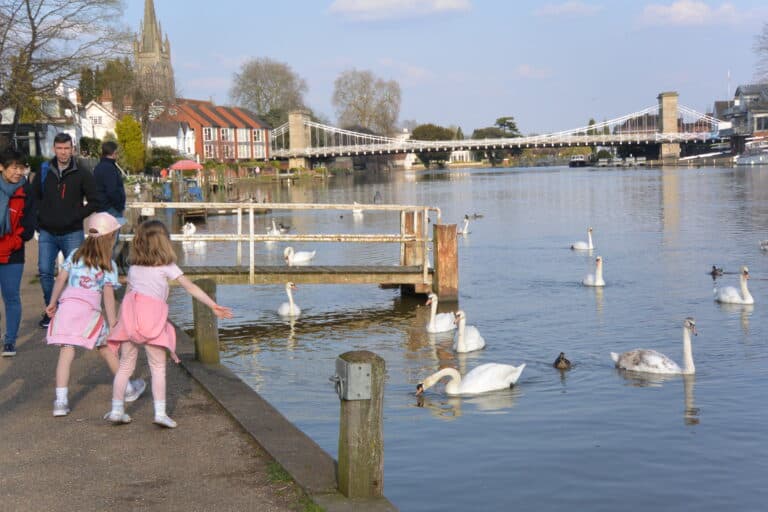 Marlow 2022 (26)