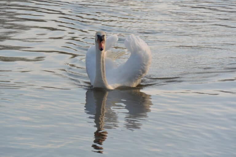 Marlow 2022 (28)